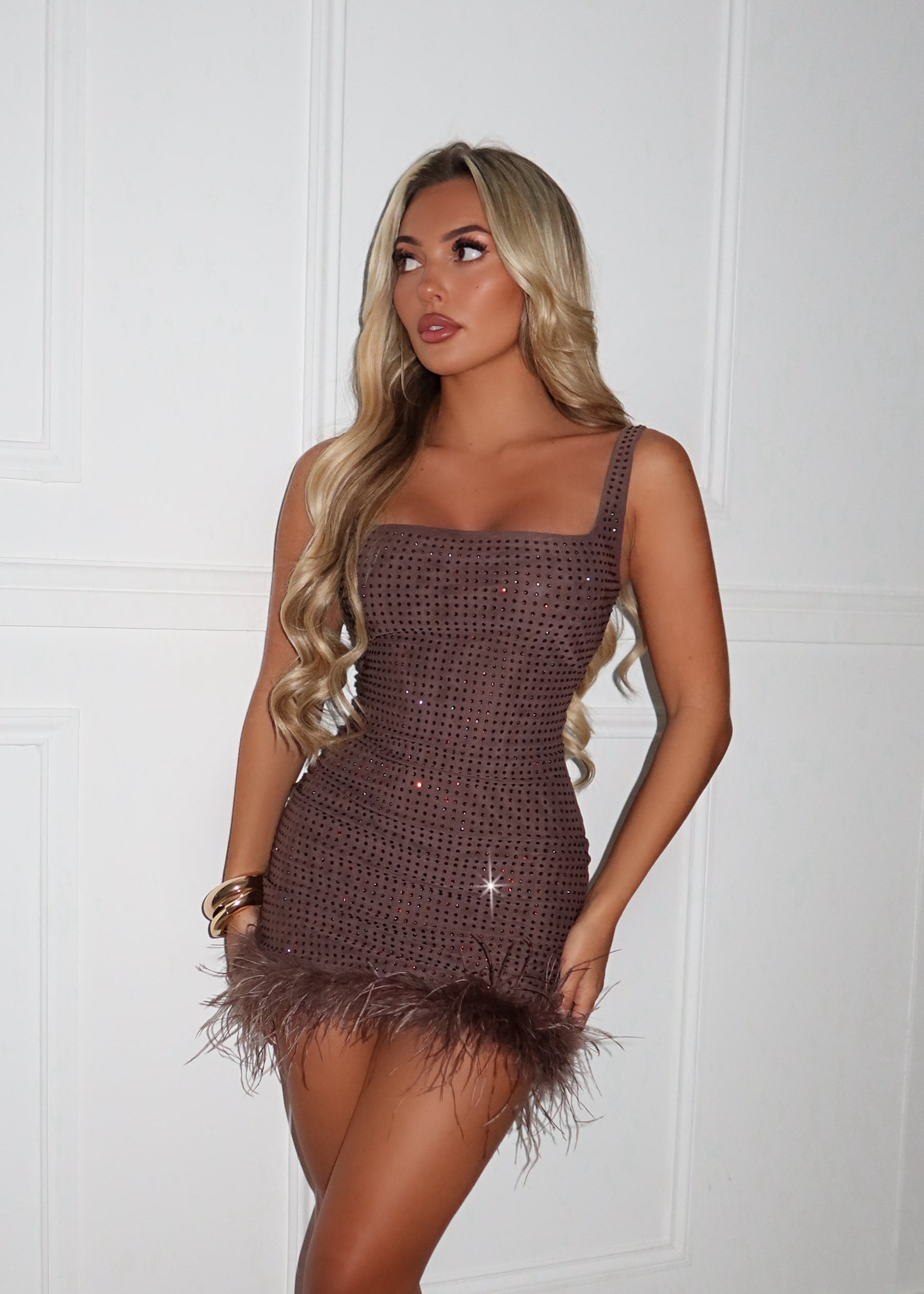 Silent Heartbeat Embellished Feather Mini Dress - Brown - ICYBOO