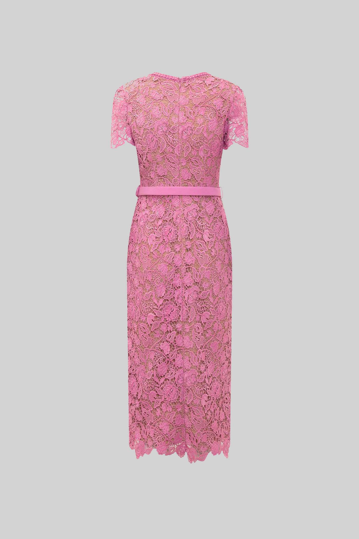 Exquisite Short Sleeve Lace Midi Dress - Rose - ICYBOO